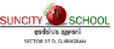 Amity International